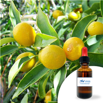 CITRON