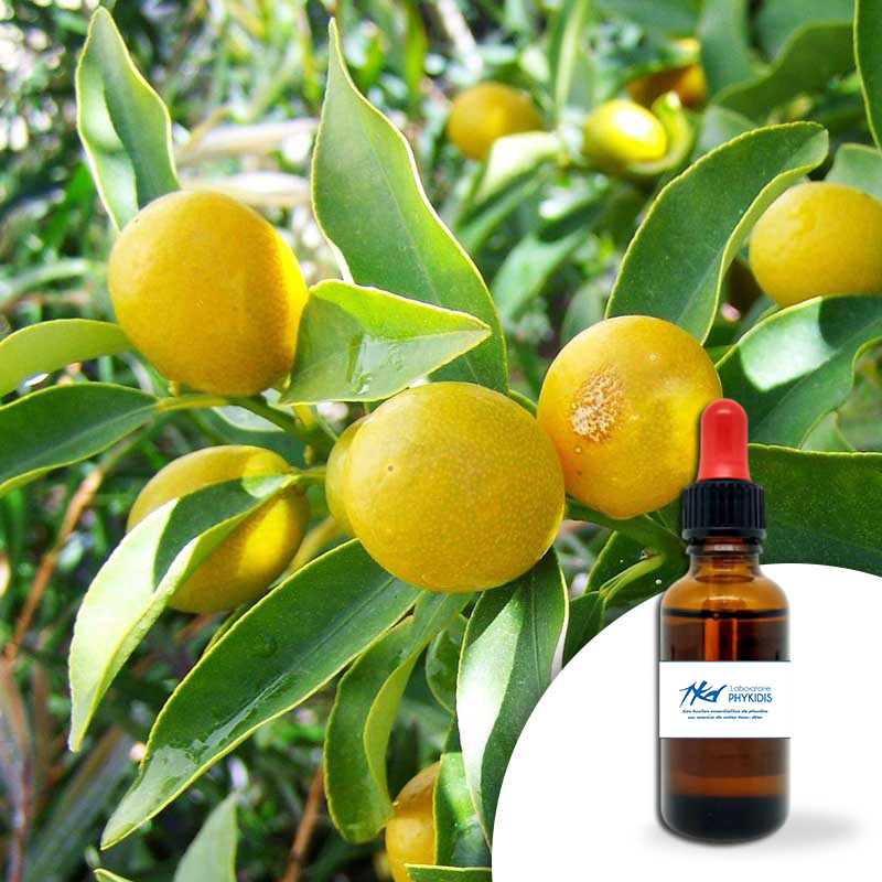 CITRON