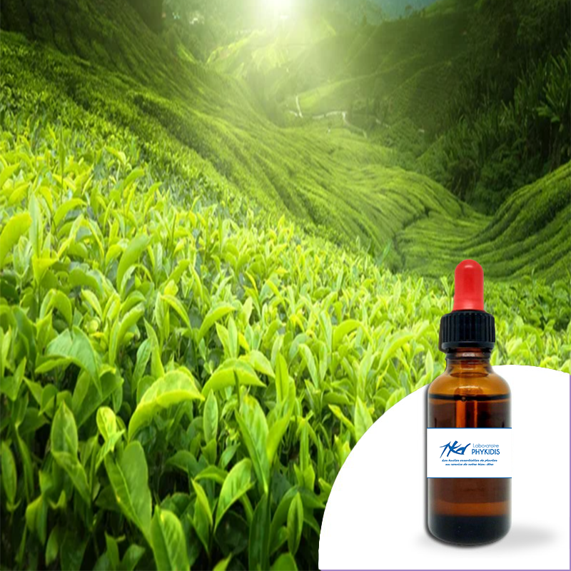 TEA TREE
