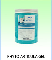 Phyto Articula Gel